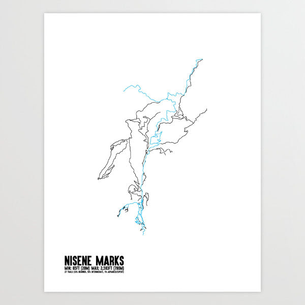 The Forest of Nisene Marks State Park