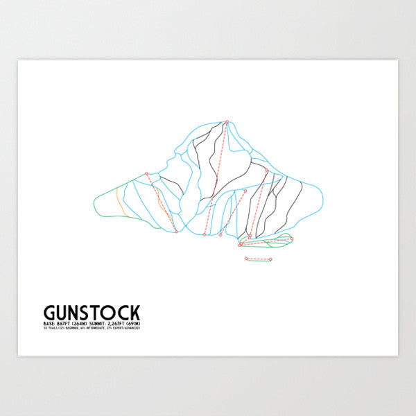 Gunstock