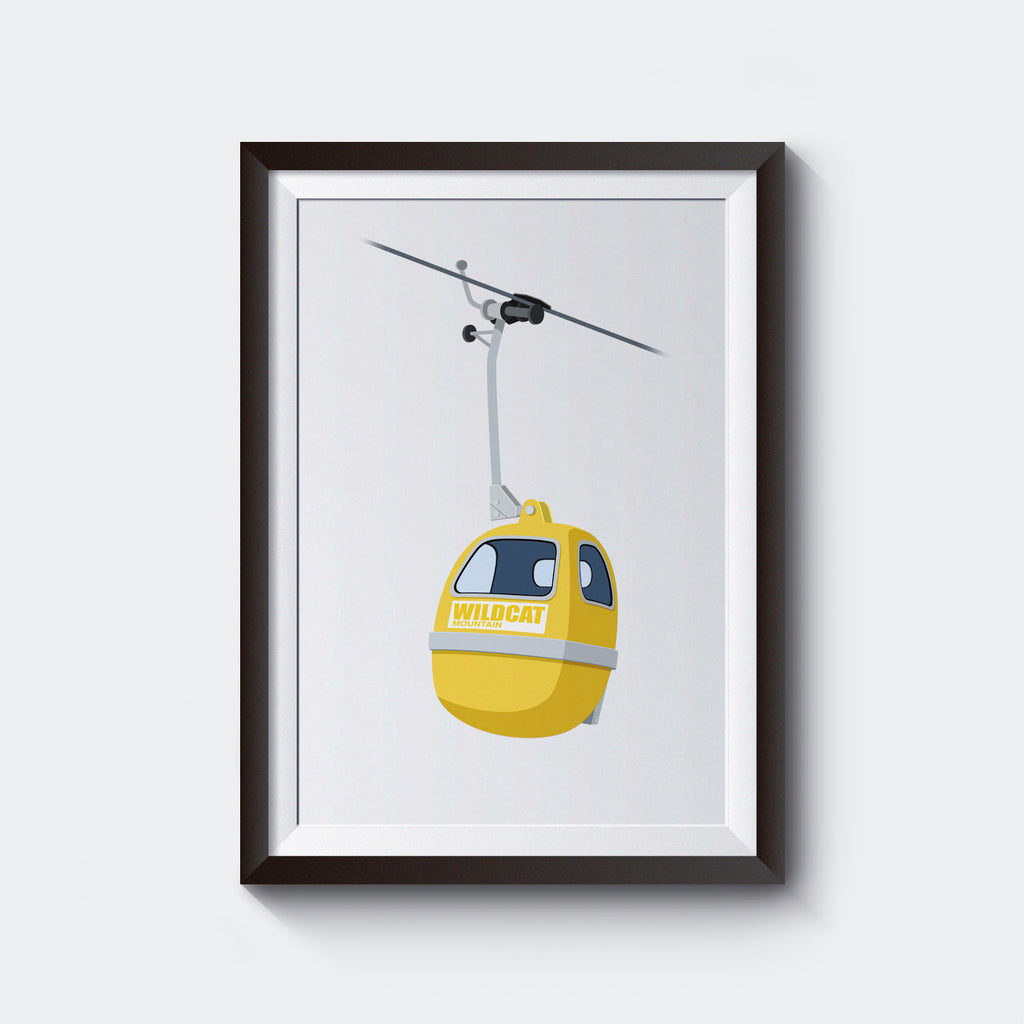 Wildcat Gondola